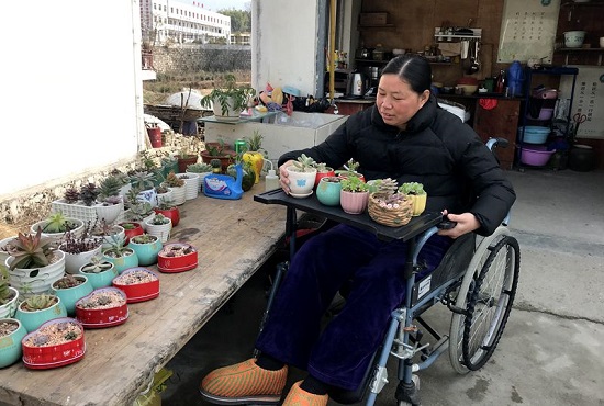 人民网:秦芹:最是书香能致远