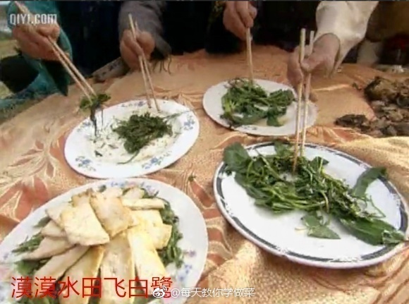 baf79701gy1fgilys6tg9j20g40bz76k.jpg 要优雅不要污:你猜得中开头但是不一定猜得中结局
