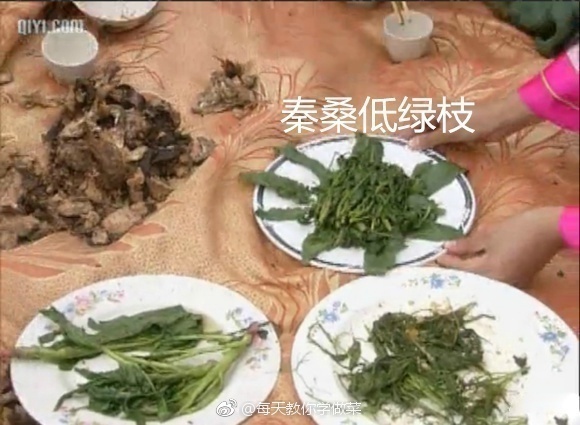 baf79701gy1fgilyrp56fj20g40btgnv.jpg 要优雅不要污:你猜得中开头但是不一定猜得中结局