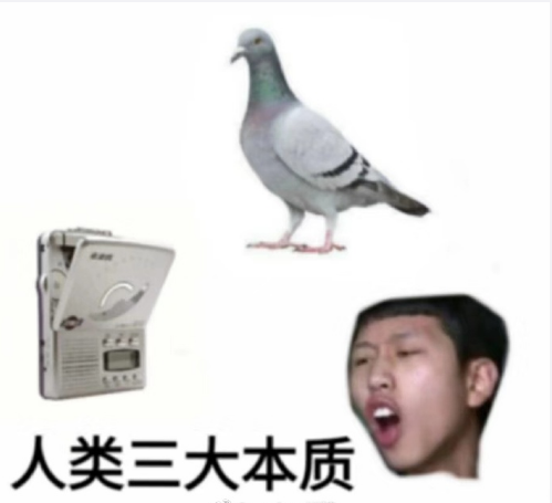 ↑过于真实.png 要优雅不要污:现代沙雕网友究竟有多闲?